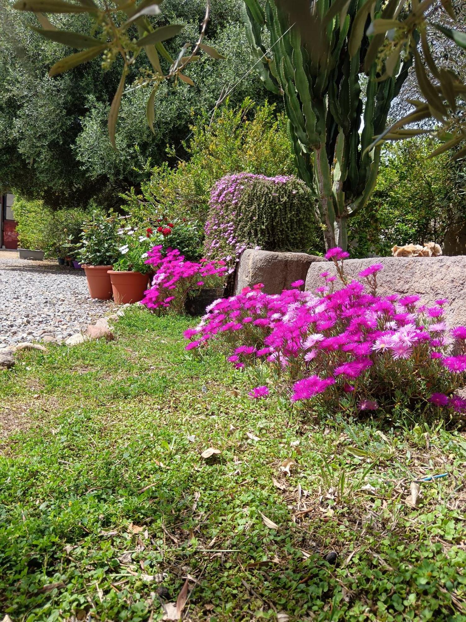 Sulcis Camere San Giovanni Suèrgiu Esterno foto